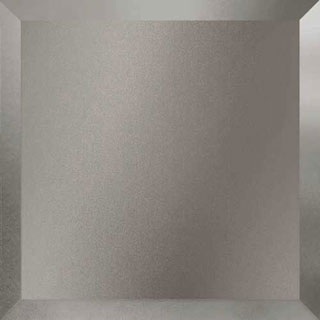 #410 Gray Frosted Mirror Glass