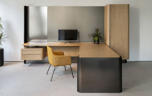 Cloak Associate Office #512 EV Natural Rattan + #316 Matte Mirror Black 1 - thumb