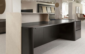 Cloak Reception #149 Ebonized Ash 2 - thumb